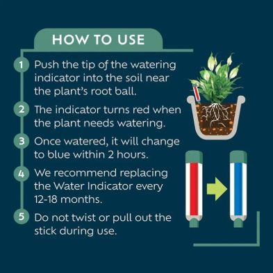 Westland Watering Indicator with red and blue color states, shown with usage instructions and plant illustration.