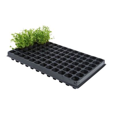Black plastic 84-cell plug tray with small green seedlings growing in some cells, set of 2.