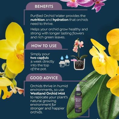 Westland Orchid Water 720ml bottle with orchid flowers and usage instructions on a dark background.