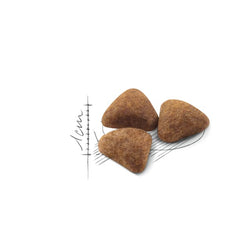 Royal Canin Indoor Cat Food 4kg bag for adult indoor cats available at Keans Claremorris