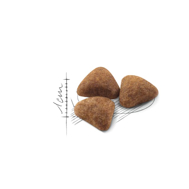 Royal Canin Indoor Cat Food 4kg bag for adult indoor cats available at Keans Claremorris