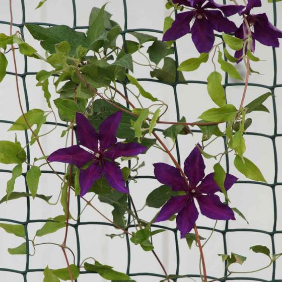 Green 50mm climbing plant and fencing mesh 0.5x5m, UV stabilized, strong plastic, easy to cut – Keans Claremorris