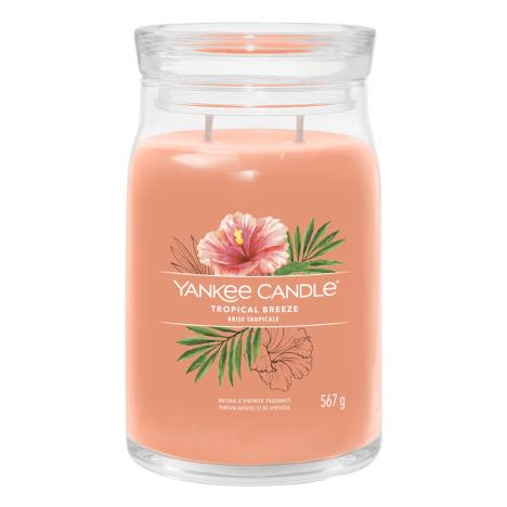Yankee Candle signature large jar spiced tropical breeze