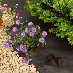 G50 Woven Anti-Weed Fabric 1m x 15m, durable 50gsm, UV treated, blocks weeds, easy install – Keans Claremorris