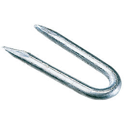 Close-up of a single 1¼ inch galvanised steel fence staple with pointed ends and a U-shape.