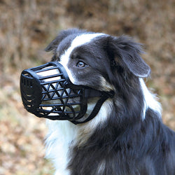 Plastic Muzzle Large 31cm for Dogs - Durable Safety Gear | Keans Claremorris