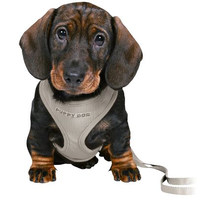 Junior Puppy M-L Grey Soft Harness with Lead for Dogs – Comfortable, Adjustable | Keans Claremorris