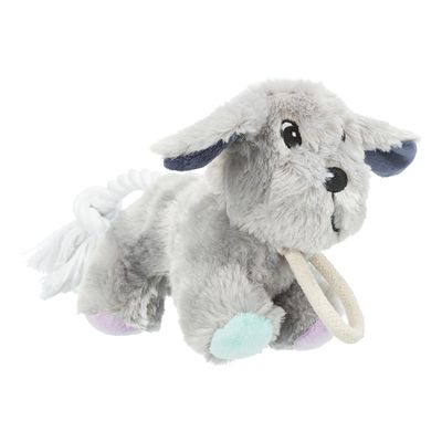 Junior Dog Toy with Durable Rope for Chewing and Tugging – Available at Keans Claremorris