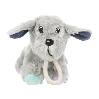 Junior Dog Toy with Durable Rope for Chewing – Keans Claremorris