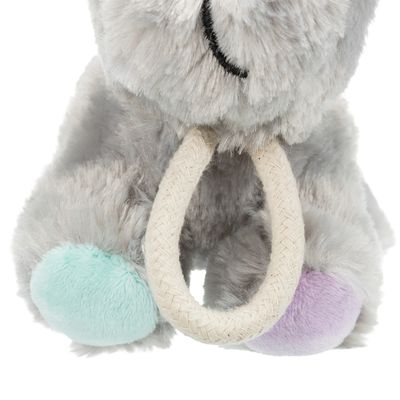 Junior Dog Toy with Durable Rope for Chewing and Tugging – Available at Keans Claremorris