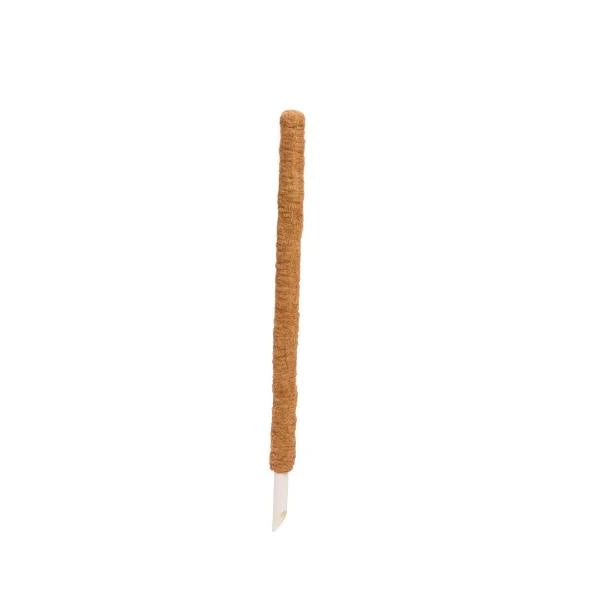 Coco Moss Pole - Image 1