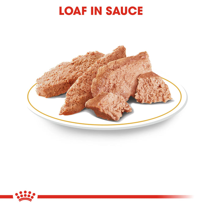 Royal Canin Chihuahua Pouch 85g - Image 3
