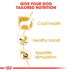 Royal Canin Chihuahua Pouch 85g