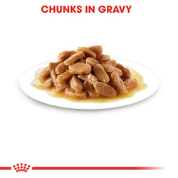 Royal Canin Maxi Adult dog food gravy pouch 140g – nutritious meal for large breeds | Keans Claremorris