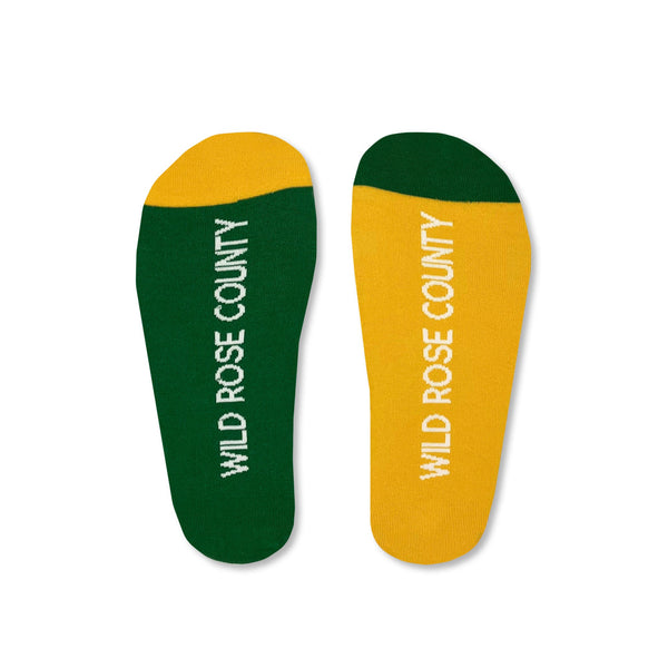 Leitrim Wild Rose County 8-12 print showcasing scenic landscapes and musical heritage, available at Keans Claremorris.