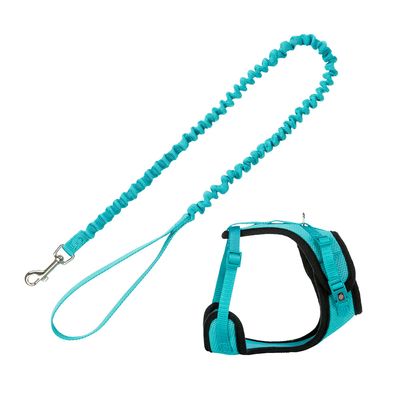 Mesh Y Cat Harness with lead in turquoise, breathable, adjustable, padded, elastic anti-jolt leash – Keans Claremorris