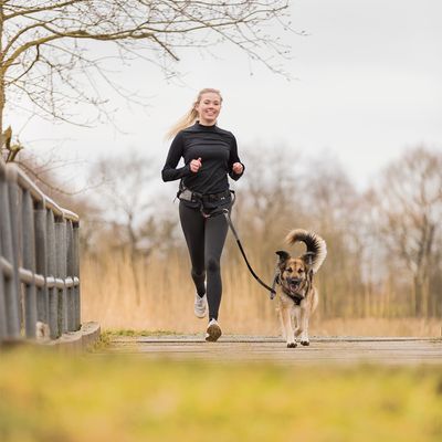 Jogging belt with leash 70-130cm, ergonomic fit, shock absorber, pockets, reflective, waterproof zips – Keans Claremorris