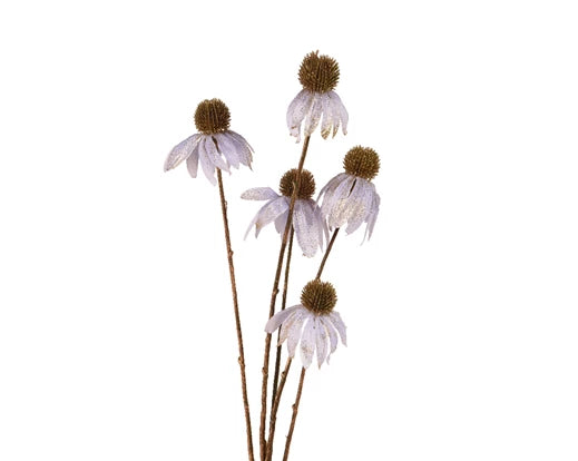 Flower Echinacea Stem in lilac with gold wash, 92cm tall, glitter finish for elegant floral decor – Keans Claremorris