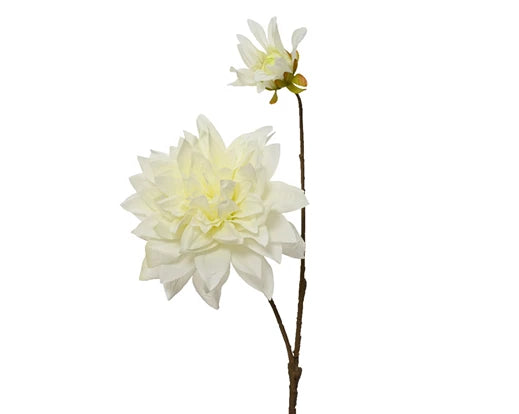 Dahlia Dahlia On Stem Polyester Off-White L.11Cm X W.16Cm X H.68Cm - KeansClaremorris