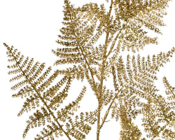 Asparagus glitter gold decorative plant 87cm tall – Keans Claremorris