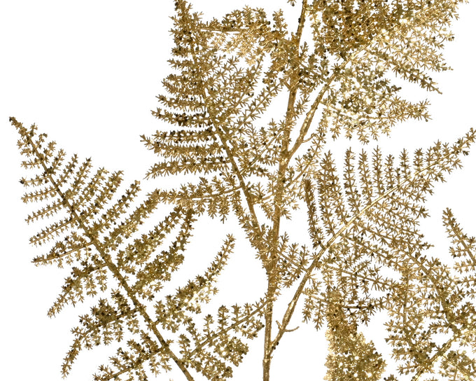 Asparagus glitter gold decorative plant 87cm tall – Keans Claremorris