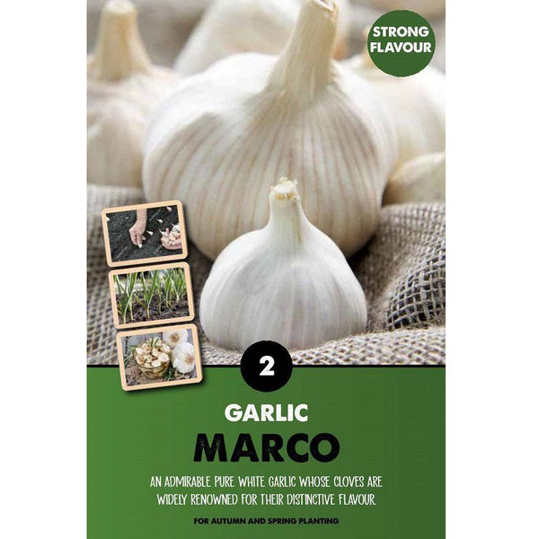 Garlic Marco