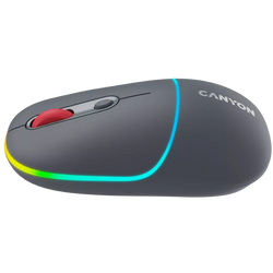 Canyon Dual mode wireless mouse MW-22 Dark Grey