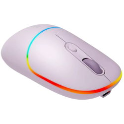 Canyon Dual mode wireless mouse MW-22