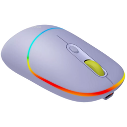 Canyon Dual mode wireless mouse MW-22