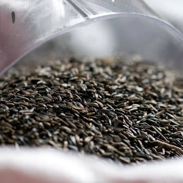 Nyjer Seed 1.25 Kg for Goldfinches and Turtle Doves, high-oil bird food, ideal with specialist feeders – Keans Claremorris.