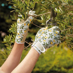 Sicilian Lemon Smart Gardeners Glove M8