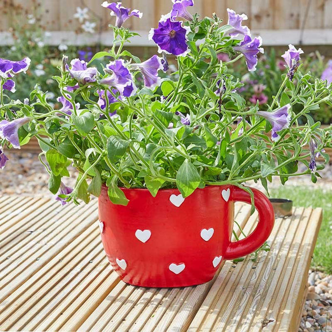 Teacup Heart Planter - Image 2