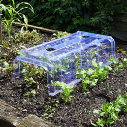 Clear Cloche