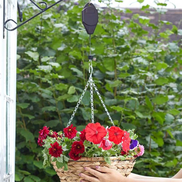 Easy-Ups Hook Clip Strip 12x2 for plant support, durable and adjustable – available at Keans Claremorris.