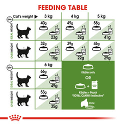 Royal Canin Outdoor Cat Food 4kg bag, premium nutrition for active cats, available at Keans Claremorris.