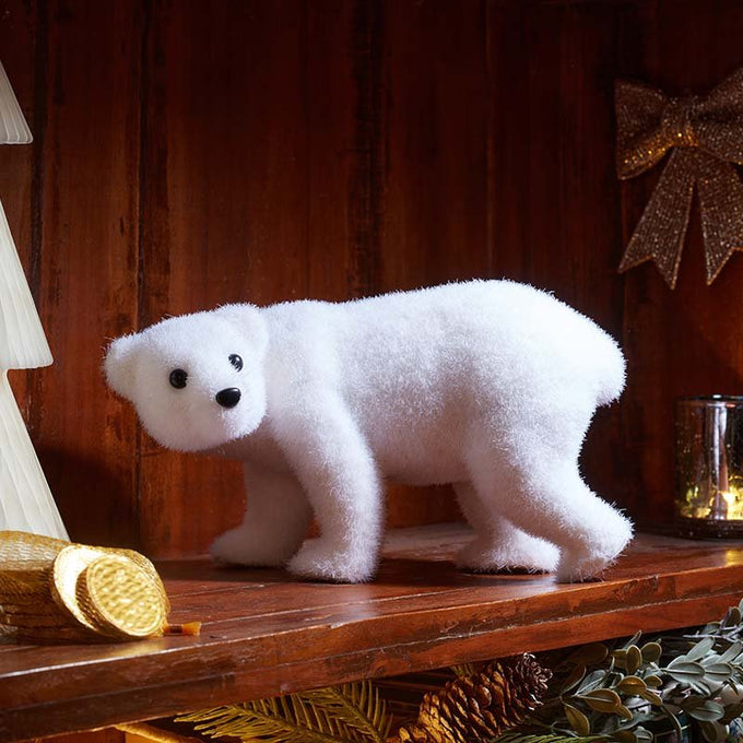 Polar Bear - Image 1