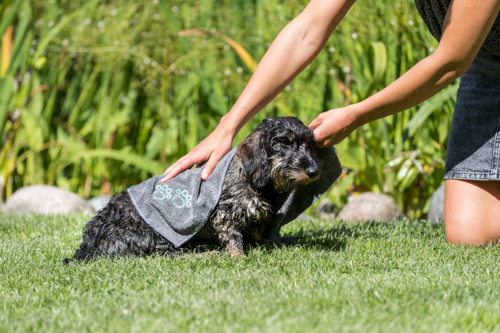 Grey Pet Towel 50x60cm for quick drying and comfort | Keans Claremorris
