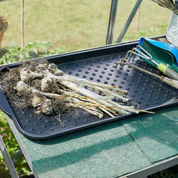 Tidy Tray 74x37cm