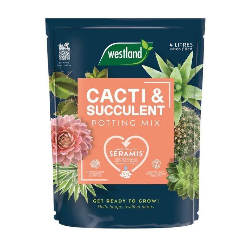 Westland Cacti & Succulent Potting Mix 4L with grit, sand, and Seramis for drainage and healthy plants - Keans Claremorris
