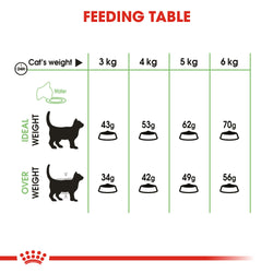 Royal Canin Digestive Care Cat Food 4kg bag, premium nutrition for sensitive digestion, available at Keans Claremorris.