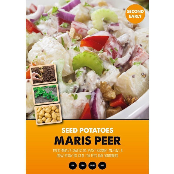 Second Earliers Maris Peer 2 Kg Nets