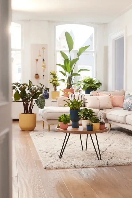 Vibes Fold Round Mini 7cm Delicate Pink compact mirror, stylish and portable, available at Keans Claremorris.