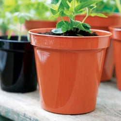Flower Pots Terracotta