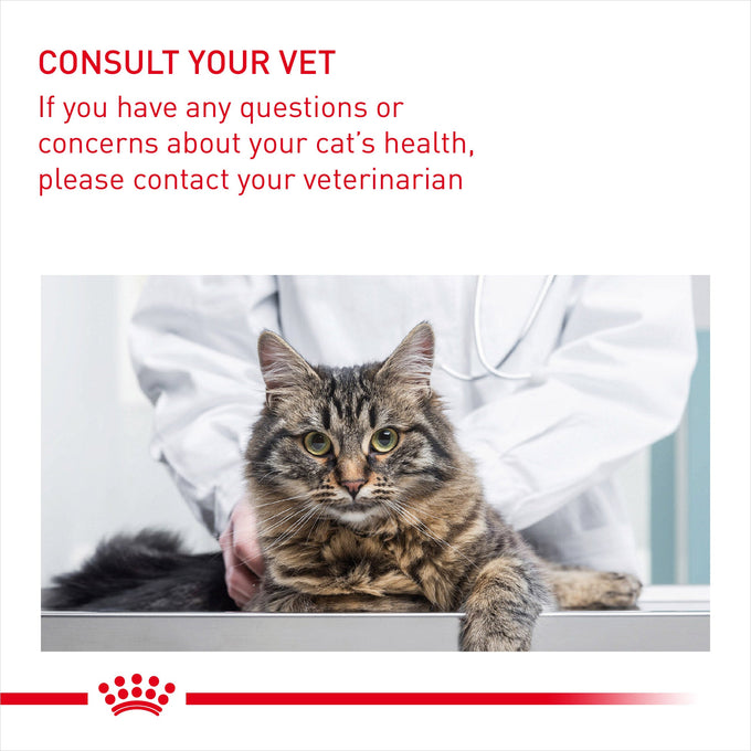 Royal Canin Digest Sensitive Cat Pouch 85g – Wet Cat Food for Sensitive Digestion | Keans Claremorris