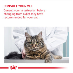 Royal Canin Urinary Care Cat Pouch 85g in Gravy – Wet Cat Food for Urinary Health | Keans Claremorris