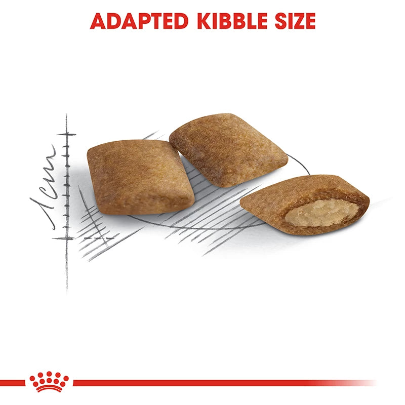 Royal Canin Senior Cat Ageing 12+ dry food 2kg pack, nutritious diet for older cats, available at Keans Claremorris.