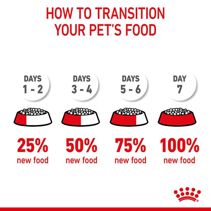 Royal Canin Digestive Care Cat Food 4kg bag, premium nutrition for sensitive digestion, available at Keans Claremorris.