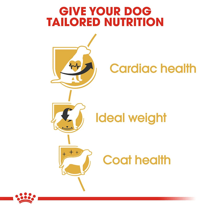 Royal Canin Cavalier King Charles Adult Dog Food 7.5kg – Premium Nutrition | Keans Claremorris