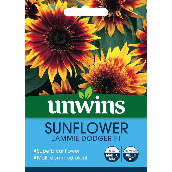 Sunflower Jammie Dodger - Seeds