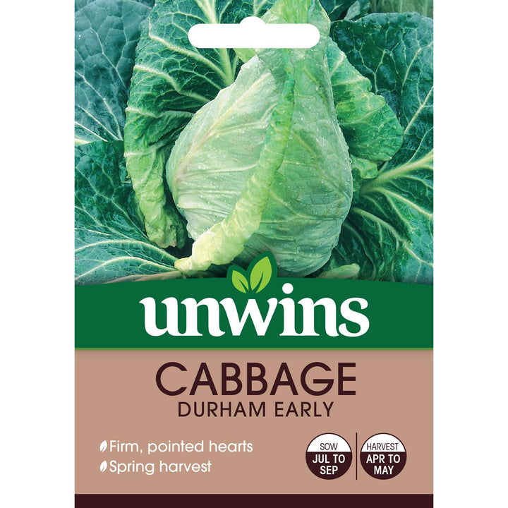 Cabbage Durham Early seeds for large, solid spring cabbage heads, ideal spring greens – Keans Claremorris.